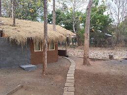 Greenwood Udawalawa Safari Resort