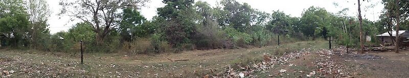 Greenwood Udawalawa Safari Resort