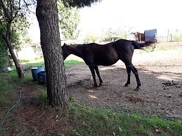 Agriturismo La Ravegnana