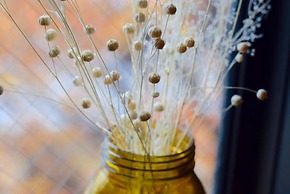 Guesthouse Meguri Inari