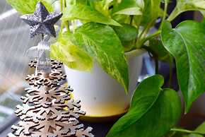 Guesthouse Meguri Inari