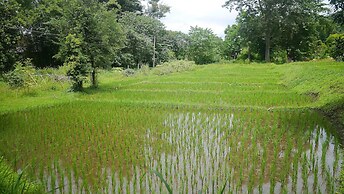 Pho Rak Nah Pai Guesthouse