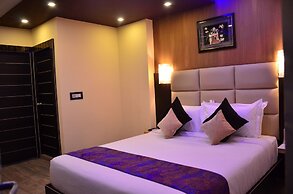 Dolphin Chocolate Inn