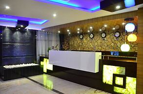 Dolphin Chocolate Inn