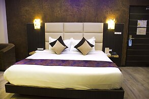 Dolphin Chocolate Inn