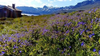 Storestølen Fjellhotell