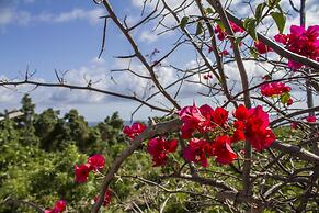 Rollanda Hotel Restaurant