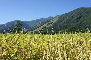 Balls Deep Inn Hakuba