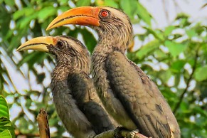 Amritara Riverside Luxury Tents