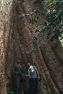 Amritara Riverside Luxury Tents