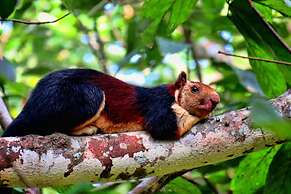 Amritara Riverside Luxury Tents