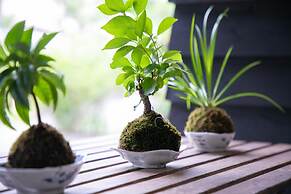 Yufuin Bath Satoyamasafu