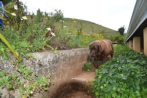 Thaba Tsweni Lodge and Safaris