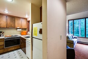 85sw - Fireplace - Washer/dryer - Dishwasher - Sleeps 4 2 Bedroom Home
