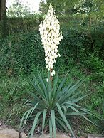 Agriturismo Fonte Chiara