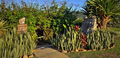 Village Praia do Rosa