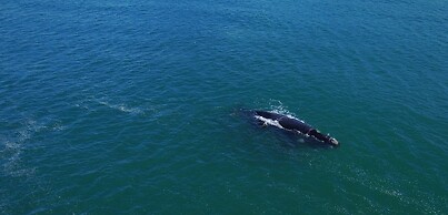 Village Praia do Rosa