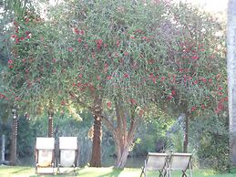 La Viña Casas isleñas