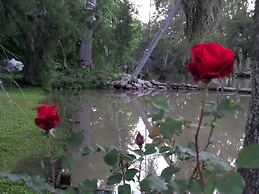 La Viña Casas isleñas