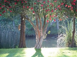 La Viña Casas isleñas