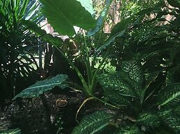 Caye Caulker Vacation Homes