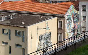 Chambre d'hôtes Au Coeur De Nancy B&B
