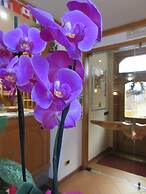 Albergo Lucia