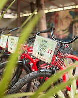 Playa 506 Beachfront Hostel