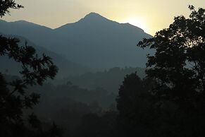 Broad Bean Resort & Spa