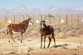 A-1 Njalo-Njalo Safari