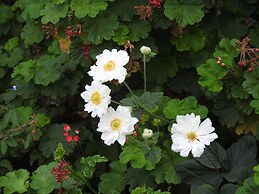 Barkly Suites Apartments