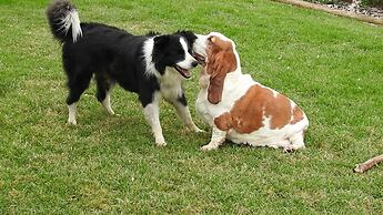 Barkly Suites Apartments