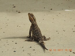 Barkly Suites Apartments