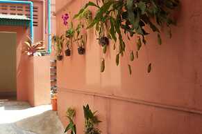 D's Corner & Guesthouse