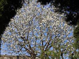 Hotel Quinta do Paço