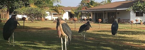 Ameg Lodge Kilimanjaro