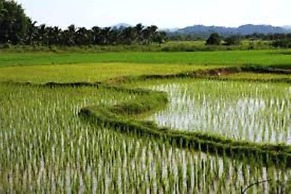 Boutique Resort Private Pool Villa