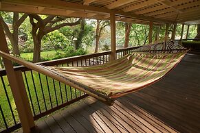 Leaning Oak PRD923 by RedAwning