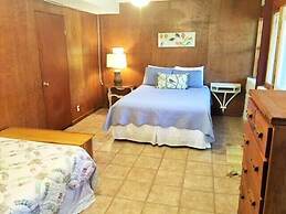 Leaning Oak PRD923 by RedAwning