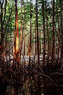 Thansur Tatai Eco Resort