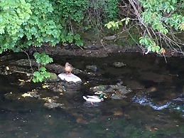 Kevock Vale Park