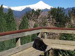 Cabañas en Pucon con vista cordillera