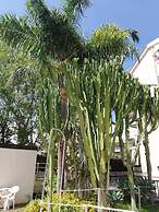 Bouganville Residence