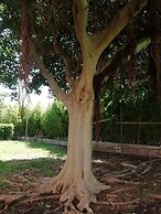 Bouganville Residence