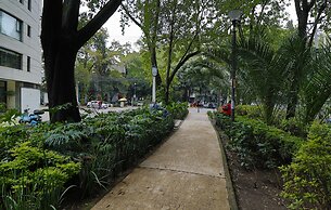 Aikia City CDMX