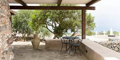 Al-Qubba Wellness & Resort