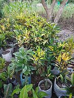 Retreat Lodge and Conference Centre