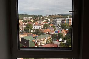 Cluj Lux Apartments Platinia