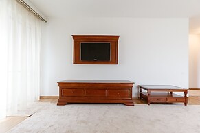 Cluj Lux Apartments Platinia