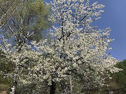 Pension Tengallonhat